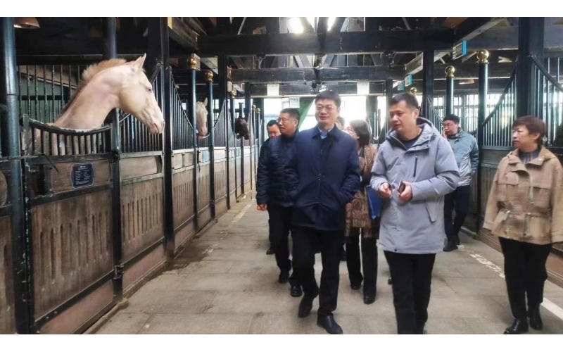 高雷副廳長在野馬集團(tuán)調(diào)研時(shí)表示，要通過科技助力，精準(zhǔn)解決“卡脖子”問題